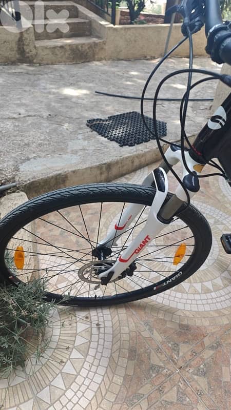 Giant Bike 10 Speed like new 2