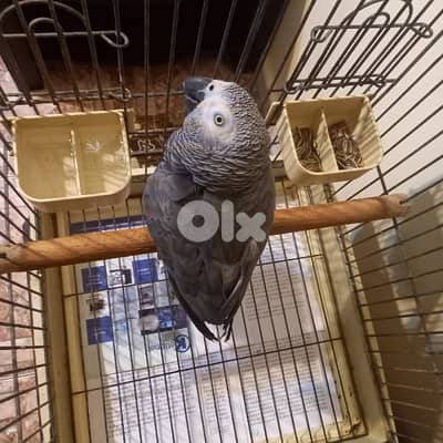 حي السلم قرب مدينة