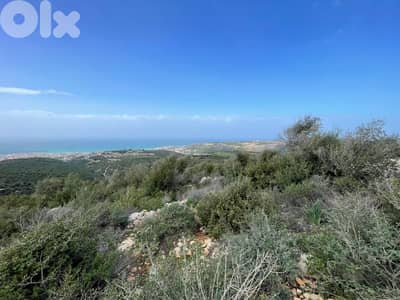 Perfect in land for (investors)  in EEbrin ( batroun)   85$/ sqm