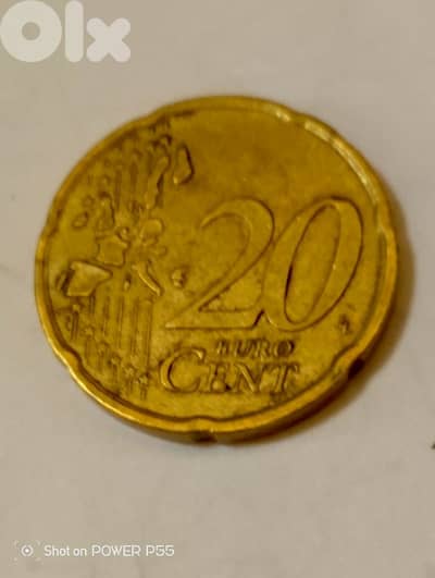 جل الديب المتن