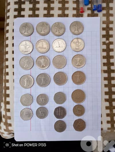 جل الديب المتن