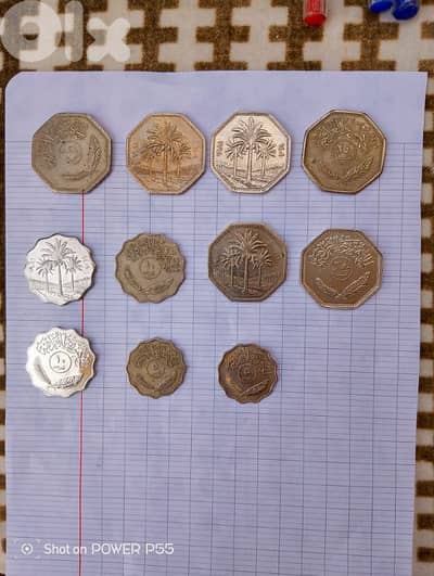 جل الديب المتن