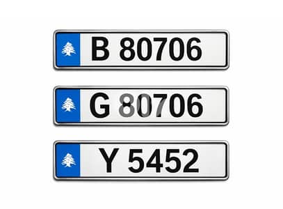 Premium Lebanese Plate Set