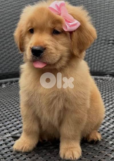 أحلى الأسعار