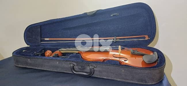 violin