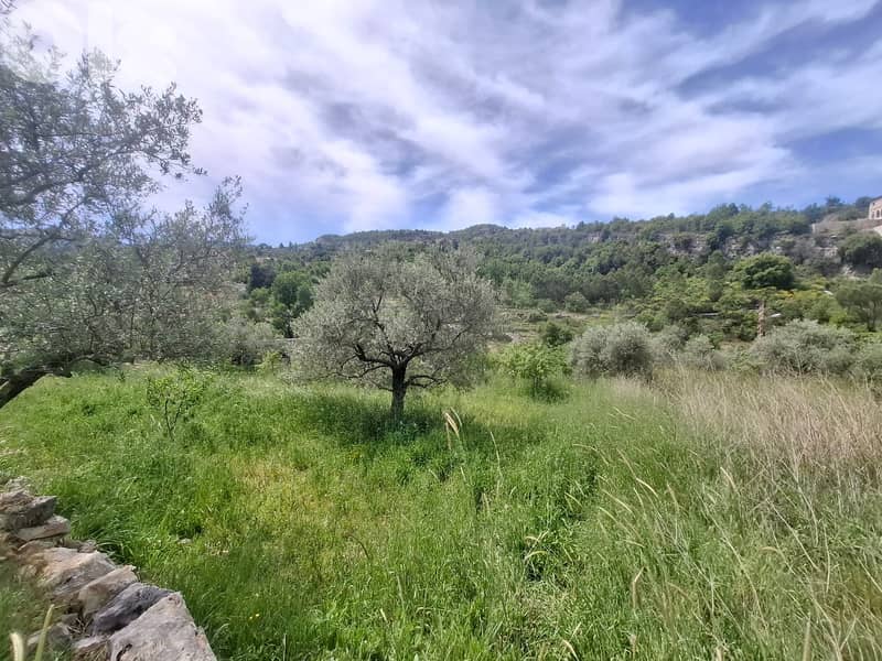 L20489 - Beautiful Land For Sale in Lehfed With Road Access 1