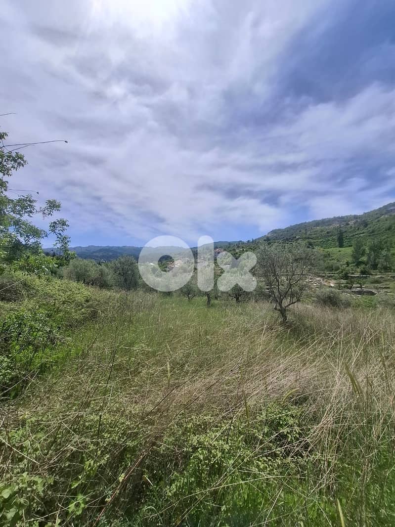 L20489 - Beautiful Land For Sale in Lehfed With Road Access 2