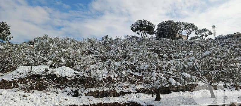 RWB339CA - Land for sale in Batroun - Derya 2