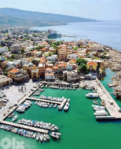 10250m2 Land+Sea View 4sale in KfarAbida/Batroun أرض للبيع في كفرعبيدا