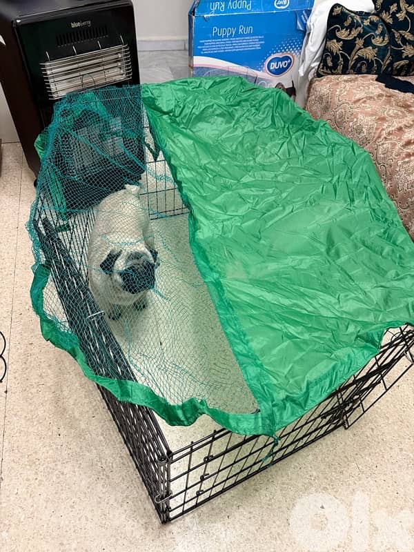 pet cage for puppy 3