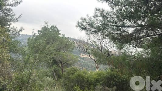 land for sale in monteverde أرض للبيع في منتيفردي