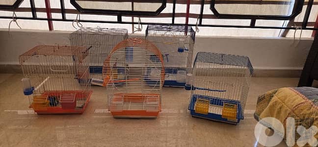 bird cages