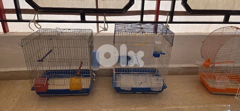 bird cages 1