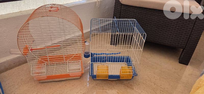bird cages 2