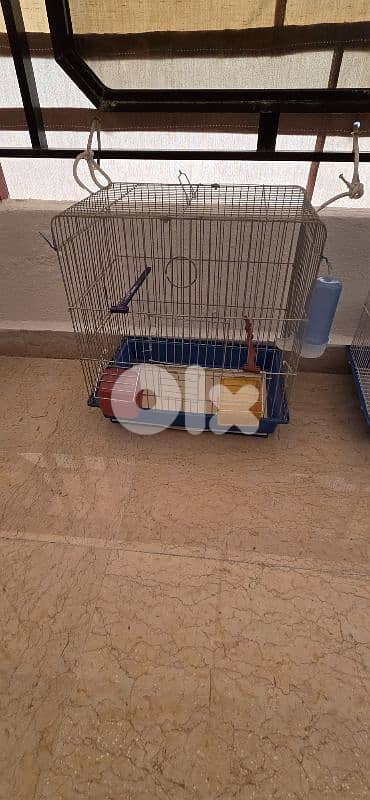 bird cages 4
