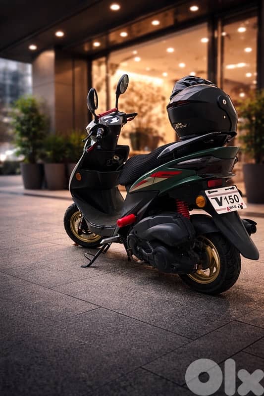 V150 2024 1