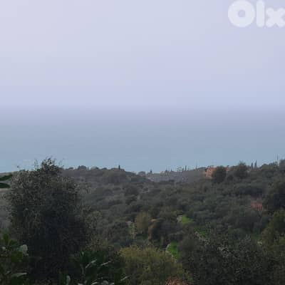 GMB106JS - Land For Sale In Monsef - أرض للبيع في المنصف