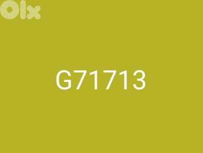 G71713