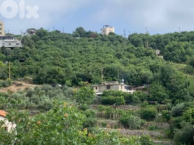 GMB195SZ - Land For Sale In Breij - أرض للبيع في البريج