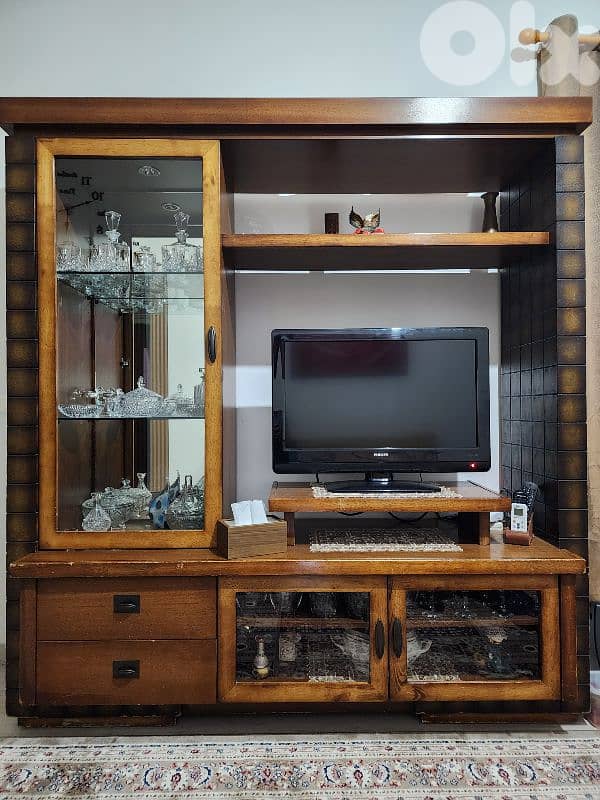tv unit 1