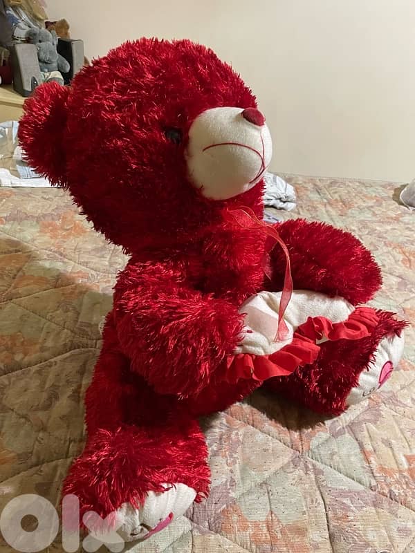 bear for kids 6