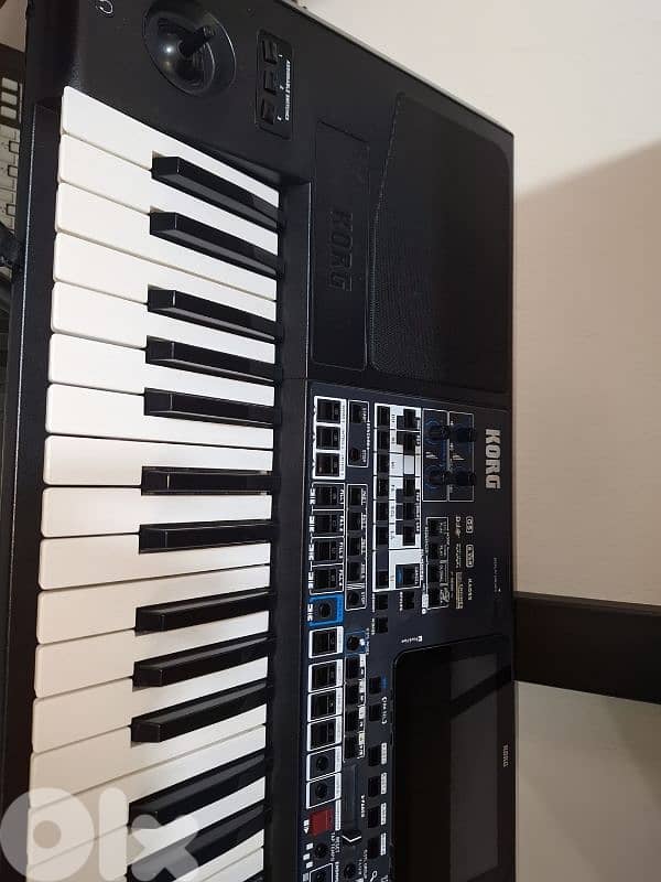 korg pa1000mg 2