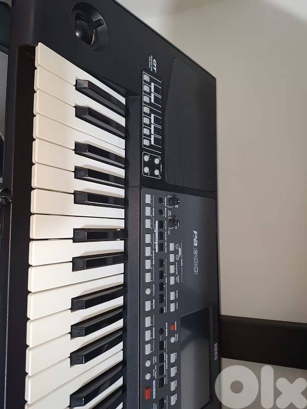 korg pa600 1