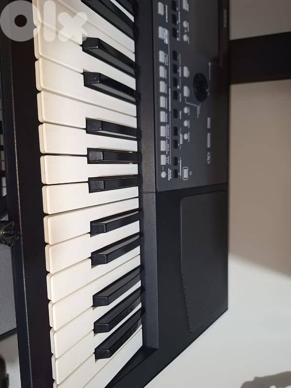 korg pa600 2
