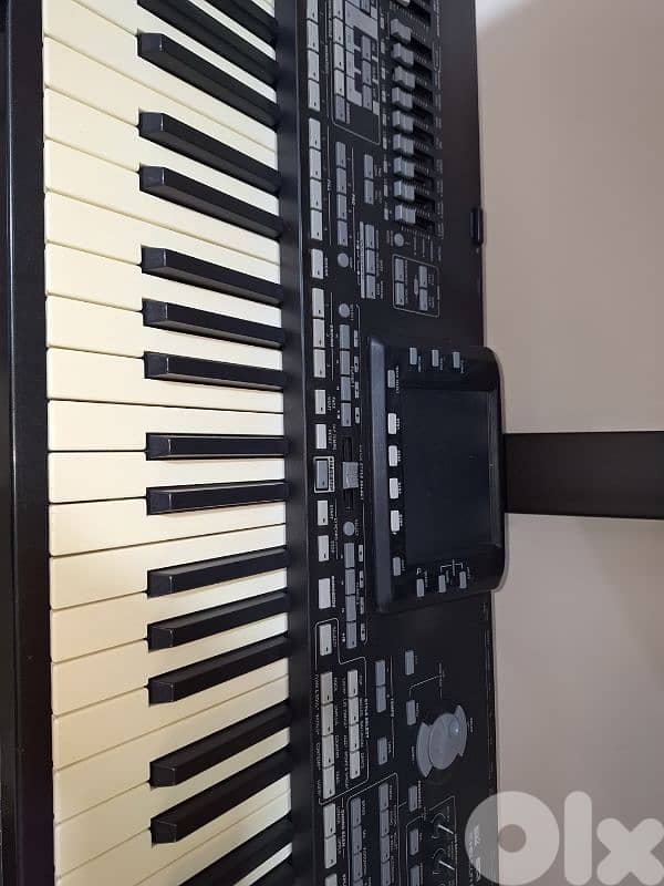 korg pa3x oR 2