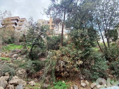 RWK176IY - land for sale in mazraat yachouh  elissar