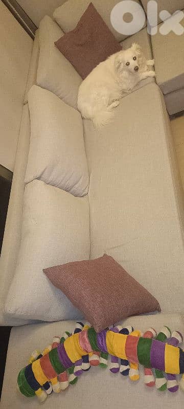 sell used but very good condition