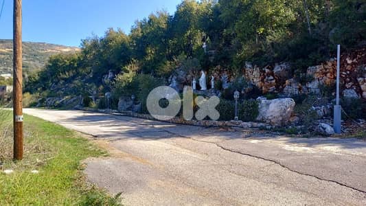 lands for sale in Douma أرض للبيع في دوما