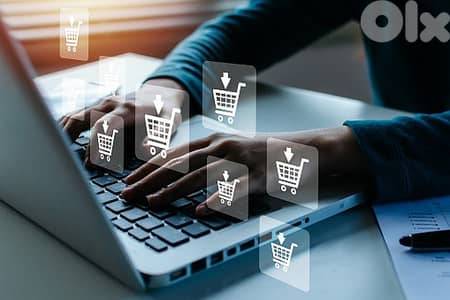 Professional E-commerce Store Development / pay upon delivery