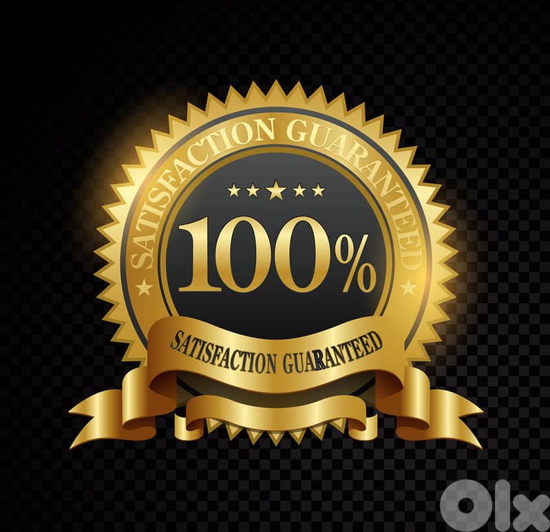 Responsive and Professional Website Design / pay at delivery 3