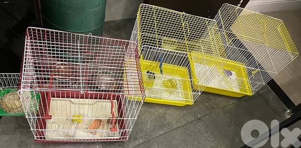 ٣ اقفاص كناري مع مشربيات وماكليات وعش مستعمل كالجديد