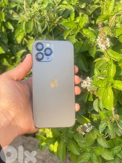 iPhone 12 pro max 256 original