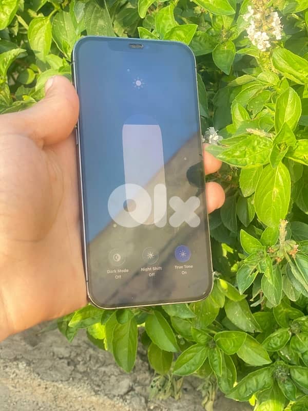 iPhone 12 pro max 256 original 1