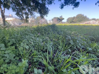 Central Hamat Land - أرض مميزة في حامات