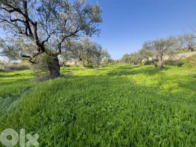 Scenic Villa Land in Hamat - أرض فيلا بإطلالة رائعة