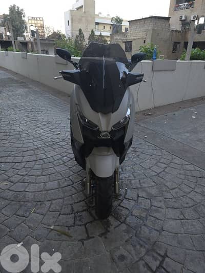 بيروت المكلس