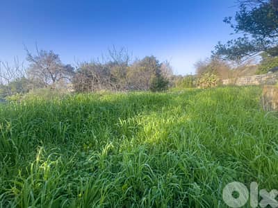 Sea View Land in Hamat - أرض بإطلالة بحرية حامات