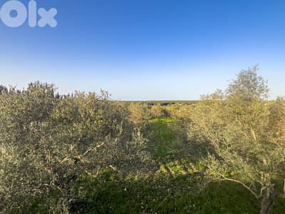 Nature Land in Hamat - أرض طبيعية هادئة