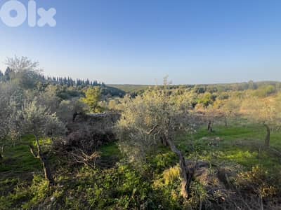 Green Villa Land in Hamat - أرض فيلا خضراء