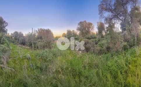 Huge Land in Hamat - أرض ضخمة في حامات