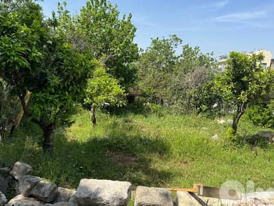 RWK119MF - Land for sale in Jeita