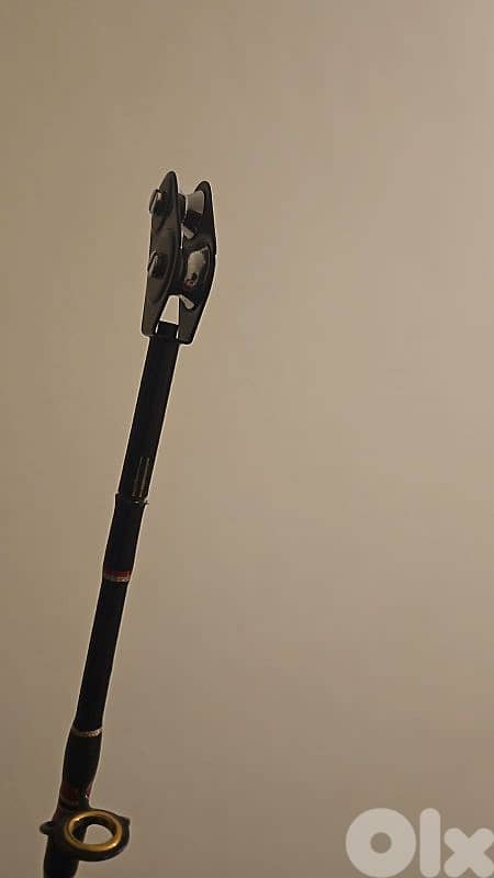 Fishing- 2x Tuna Rods + reel 3