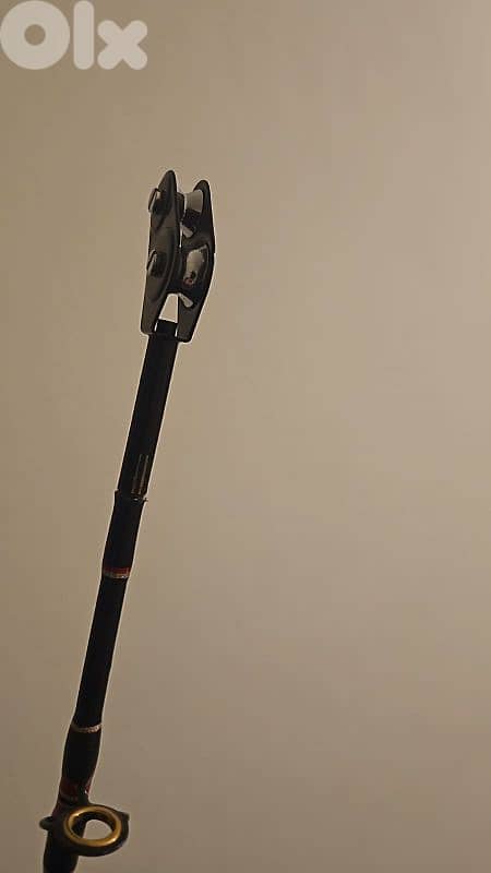 Fishing- 2x Tuna Rods + reel 6