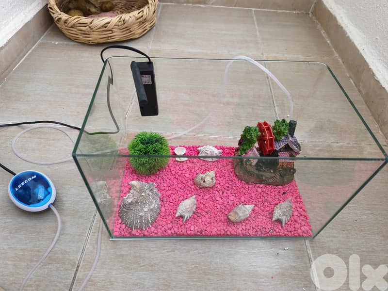 Complete Aquarium Setup – Ready for Fish! (Everything Included) 1