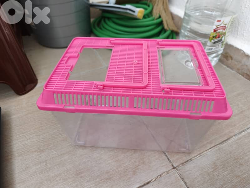 Complete Aquarium Setup – Ready for Fish! (Everything Included) 9