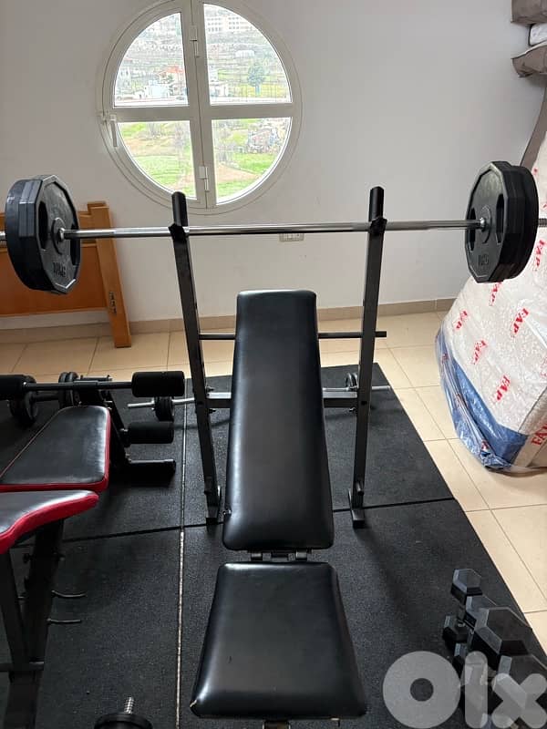 dumbles - bench press - incline bench press 4